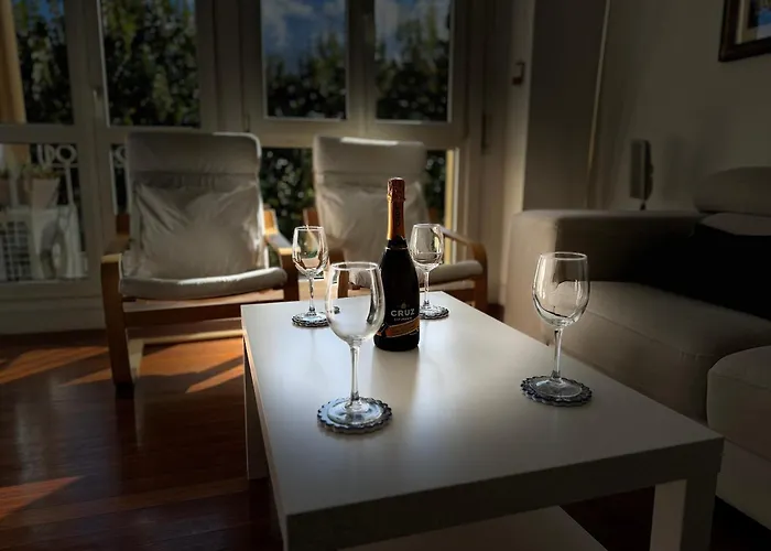 公寓 Pioxii Center 圣塞瓦斯蒂安